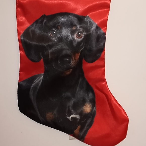 Dachshund Dog Christmas Holiday Dog Stocking - Picture 1 of 6